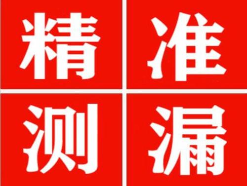 镇巴尚嘉漏水精准查找