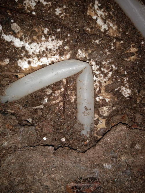 镇巴堵点精准查找